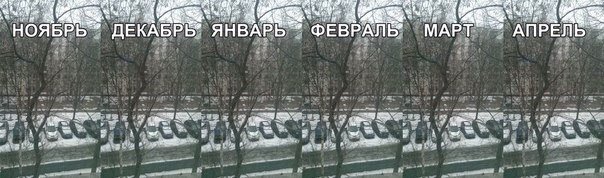 Смешные комментарии из социальных сетей 03.04.15