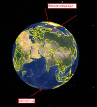 пингвины? ts, ты не рехнулся? белые мишки (спасибо за жипеги), живут ближе к северному полюсу, а пингвины ближе к южному.