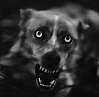 собака очень душевно получилась :)