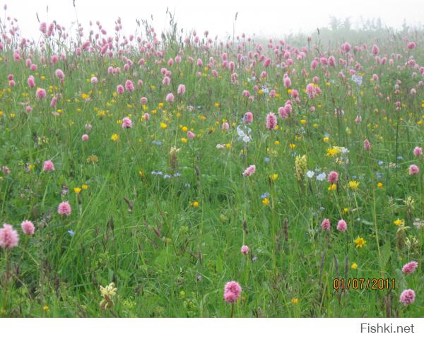 Даа, бывал я там. Красотень неимоверная. Только в горах и в океане чувствуется насколько мал человек в стремлении своём покорить (уничтожить) природу.
Ваш покорный слуга справа, в очках.