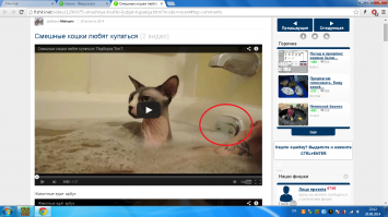 Этот взгляд..