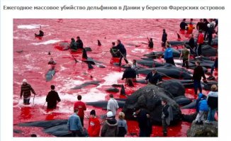 читаешь и понимаешь мы не одни во вселенной ,при этом епаная западная цивилизация с ними делает вот это традиции у них мля такие