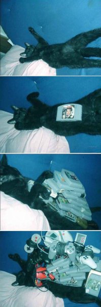 пофигизм 80 LVL