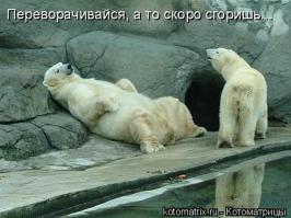 Потапыч