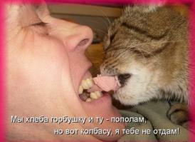 Подборка видео от 02.07.2014