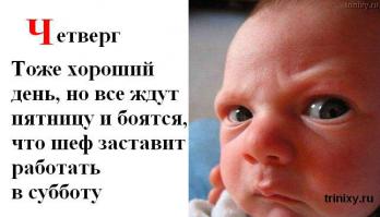 Милые и забавные тоже любят пятницу!