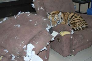 Подборка видео от 04.07.2014