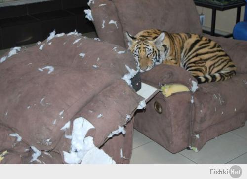 Подборка видео от 04.07.2014