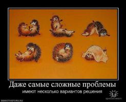 Как ежа к стоматологу водили