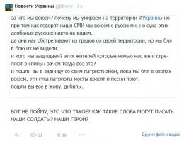 Ведь скоро эти солдаты по домам вернутся, вот будет весело тем кто заборы красил...