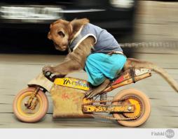 **аный дебил