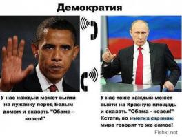 Это Путин виноват!