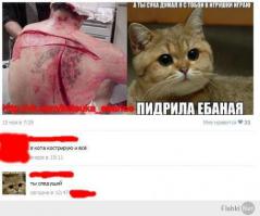 Кот напал на ребёнка
