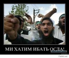 ОПЯТЬ ОВЦЕ_Ё БЫ ОТЛИЧИЛИСЬ ???