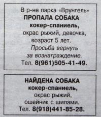  Пропала собака. Помогите найти