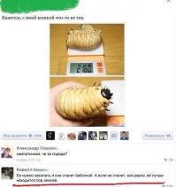 Смешные комментарии из социальных сетей 28.09.14