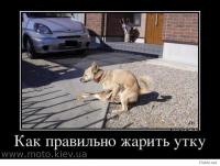 Спас козу от собак