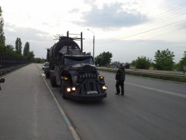 к нам в город как то такой зверь приезжал