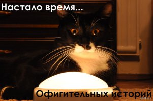 Самолёт и запорожец. Разгадка дикой аварии