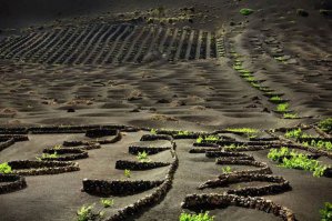 вот на этой очень долго искал)