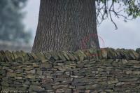 нет никаких оснований утверждать что это сова, а не дефект дерева.