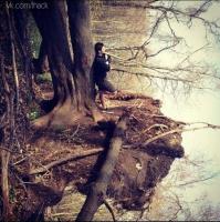 Ракурс решает 