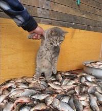 особенно если обед вот такой :)