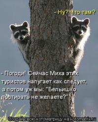 И предприимчивые