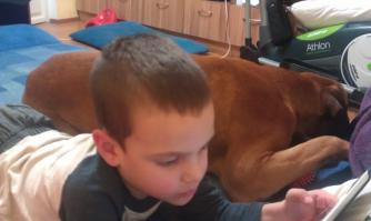 у каждого ребенка в детстве должен быть пес. такой дружбы и верности больше никто не подарит