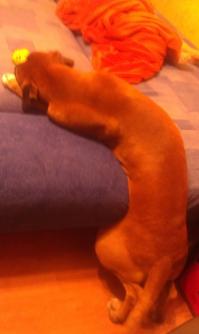 как хорошо, что мой всего лишь 35 кг))