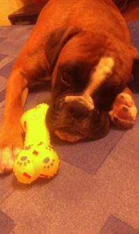 как хорошо, что мой всего лишь 35 кг))