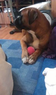 спасибо))
мальчик должен быть мальчиком)в доме половина игрушек разобрана на "изучение". бегает сейчас весь расцарапаный, с синяками и шишками, но счастливый)) 
правда иногда я готова умолять его сесть за планшет, но хватает минут на 15, ведь мир вокруг для него намного интересней. а и теперь есть лучший друг, такой же шкодник, который не дает задержаться на диване)