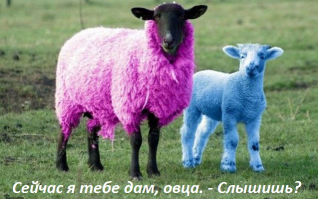 Дура в розовой кофточке