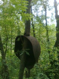 Фотоподборка за 26.03.2015