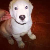 Мой малыш в 2 месяца