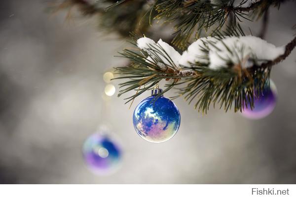 Фишкина солянка за 31.10.2014 