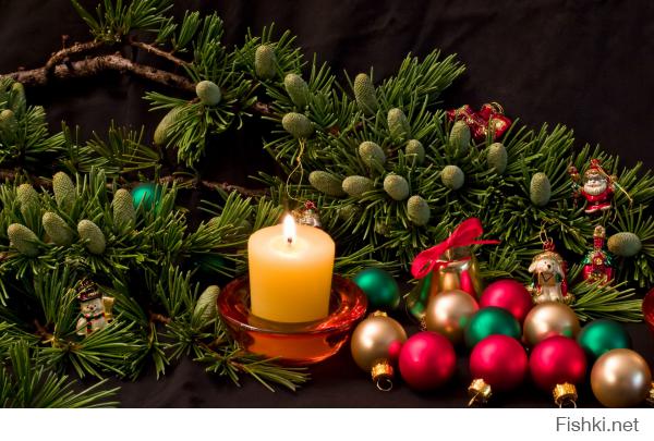 Фишкина солянка за 31.10.2014 