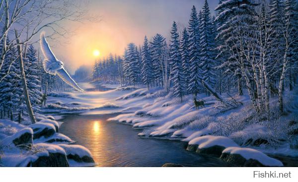 Фишкина солянка за 31.10.2014 