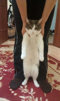мой писюнчик )))))