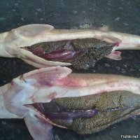 она самая ))))))) любимая