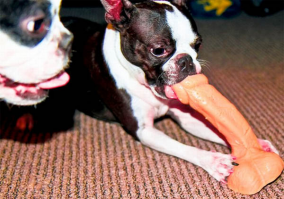 Бывает и такое :)