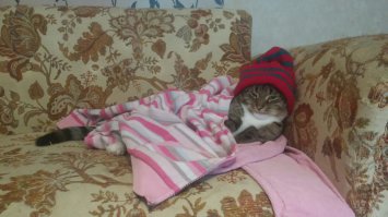 Они старались,как могли