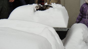 Март 2013, Киев. Было весело.