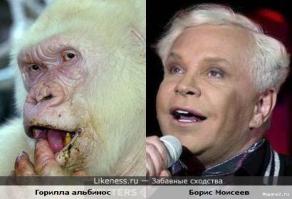 Так похожи друг на друга