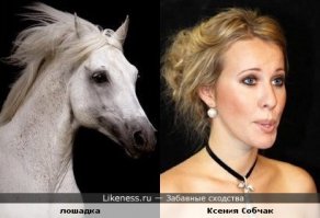 56 примеров забавного и неожиданного сходства
