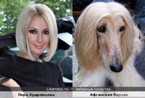 56 примеров забавного и неожиданного сходства