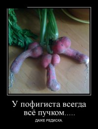 Прикольные картинки с надписями