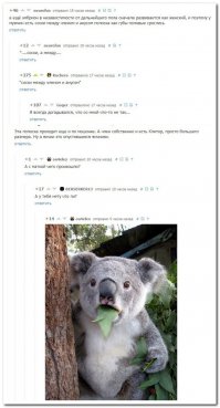 Смешные комментарии из социальных сетей 19.02.15