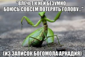 Фото, которые гарантированно поднимут вам настроение!