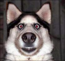 История одного вечера…